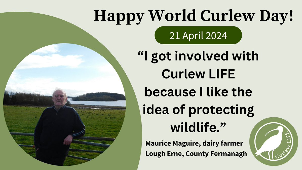 This #WorldCurlewDay we'd like to thank the farmers taking part in #CurlewLIFE. 280 farms totalling almost 31,000 hectares at our project areas in England, N. Ireland, Scotland & Wales, working alongside our teams to give #Curlews a fighting chance.

curlewlife.org/2024/04/thank-…