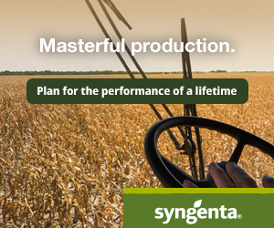 They say you're only as good as your tools. Choose from some of the best products on the market, built for and tested in Canadian-based field conditions. Dive into details for Canola, Cereals or Field Peas & Soybeans in our #MasterfulProduction hub here: bit.ly/3R9bBNV