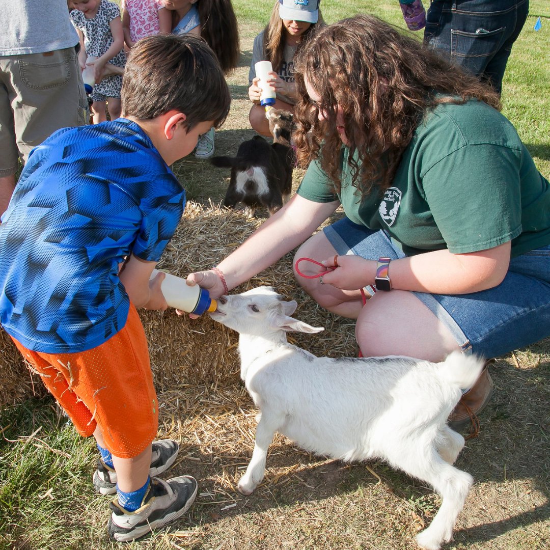Do you have an ANIMAL LOVER in the house? Bring them over to the Earth Day Fairfax Festival to meet with farm animals visiting from Frying Pan Farm Park! ☀️ Saturday, April 20 📍 Sully, Historic Site, Chantilly 🏎️ Free Admission ; Parking $10 per car bit.ly/3966dC7