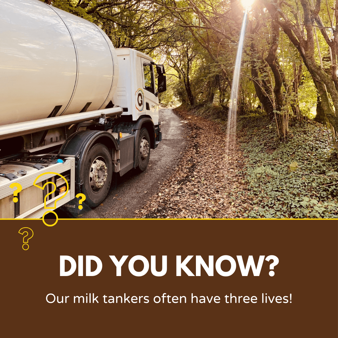 Up to 3 times in their life, some of our milk tankers undergo a makeover! They take a trip to a specialist tank builder who lifts the vessel, refurbishes it and returns it to a new chassis. #MilkTanker #TankerRefurbishment #MilkHaulage #Transportation #DeliveringWinners