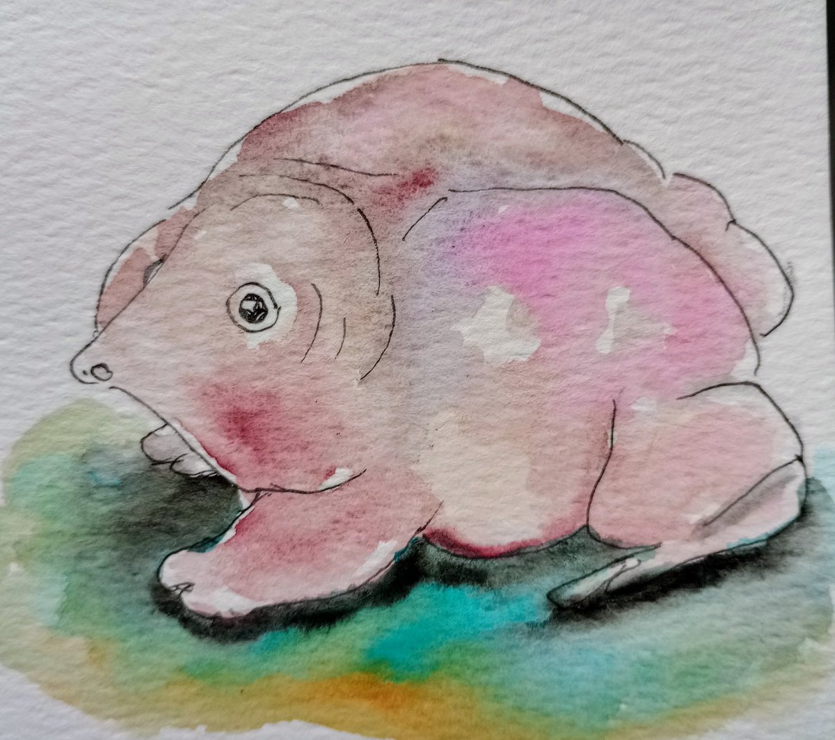 ksneathart's tweet photo. I've caught up! This Purple frog is punctual for #FrogApril! Happy Friday and I hope you have a great weekend! 💕💚🐸 #frogapril2024 #purplefrog #funnyfrog #happyfriday💕 https://t.co/6ZFt6FyBbk