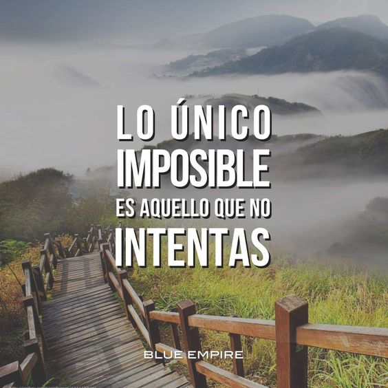 Zoila Alcantara (@alcantaraq11) on Twitter photo 