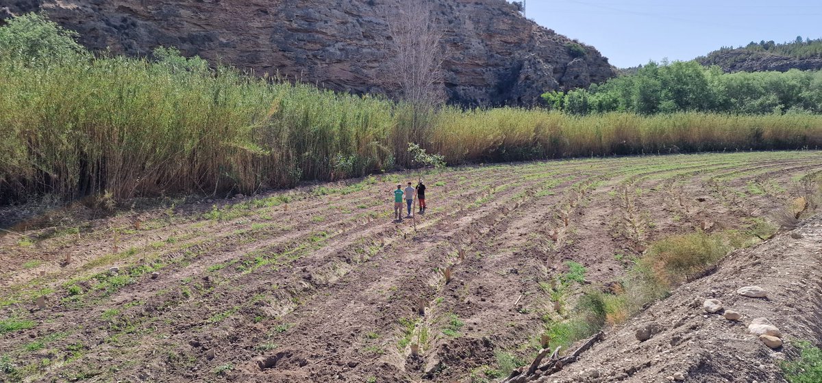 🟢ACTUALIDAD🟢El concejal de medio ambiente de Calasparra visita la finca de #lahuertecica #fluviatilis @FBiodiversidad #proyectosPRTR #planderecuperacion #nextgenerationeu 
➡️Más info: asociacionanse.org/el-concejal-de…