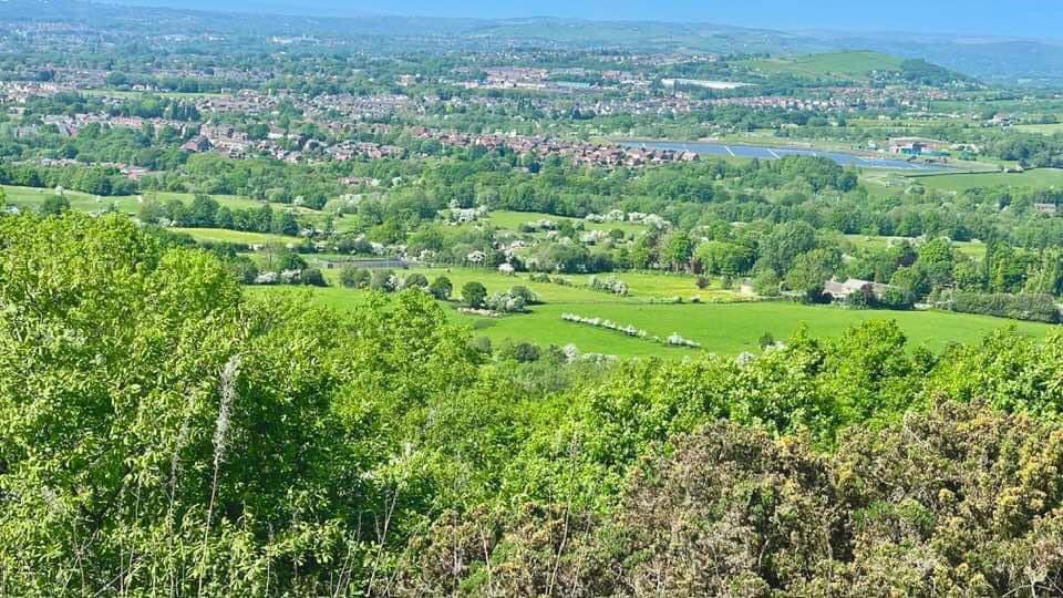 Save Tameside Greenbelt 🍃💚🍃 tweet media