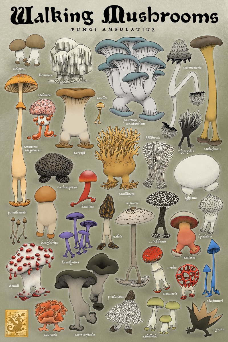 you may encounter a variety of walking mushrooms while traversing the dungeon's depths