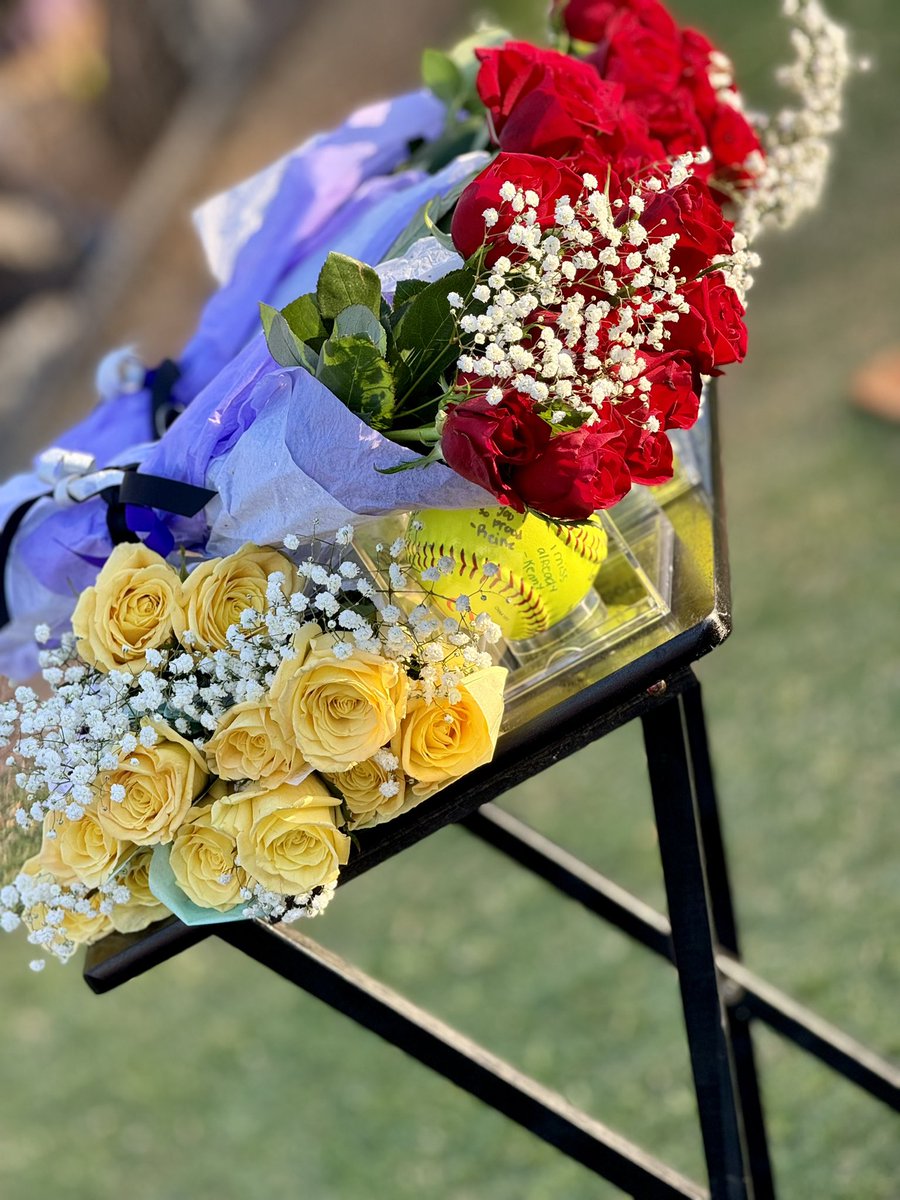 Ridge View Softball tweet media