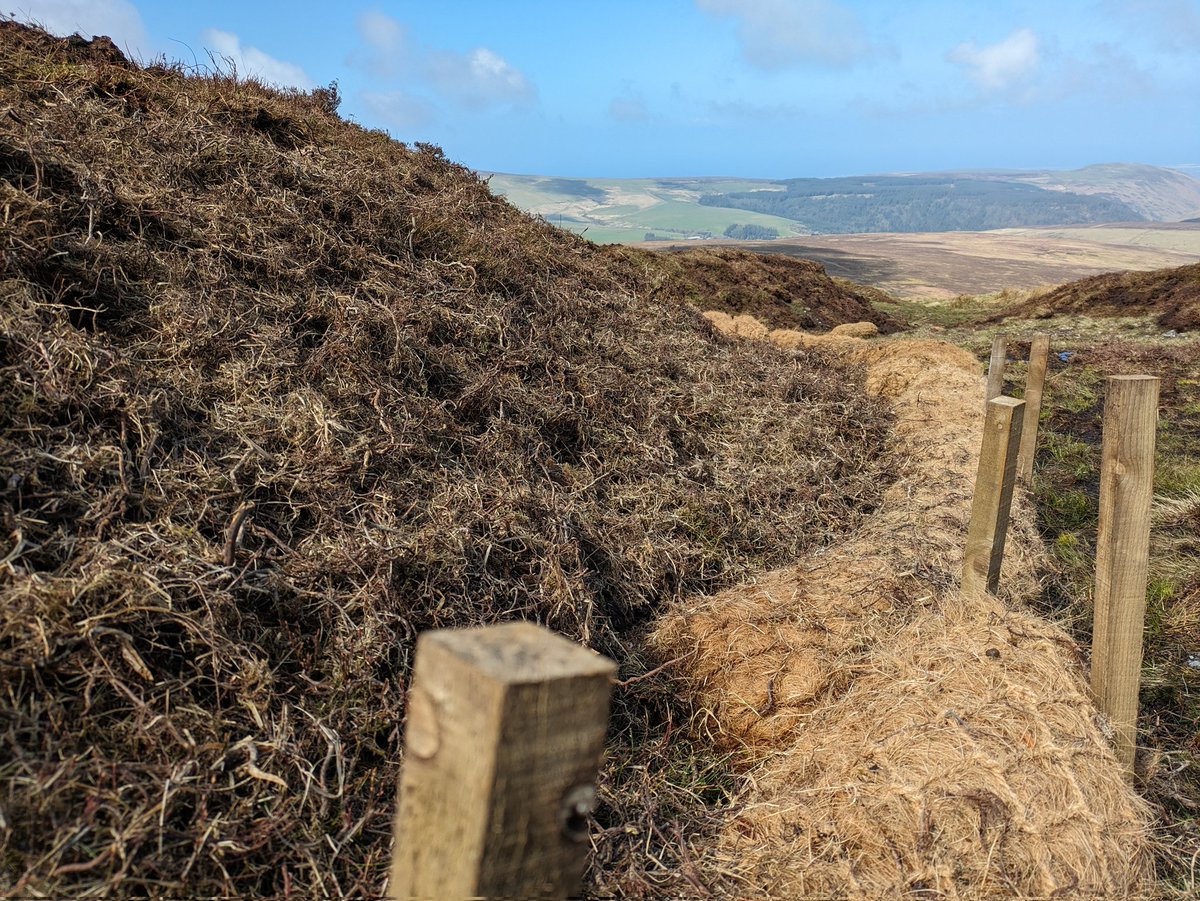 ManxPeat tweet picture