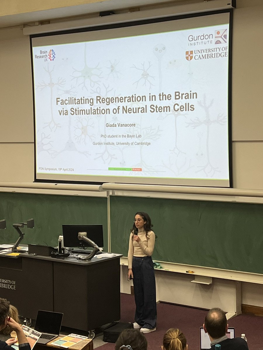 Sumru Bayin tweet media