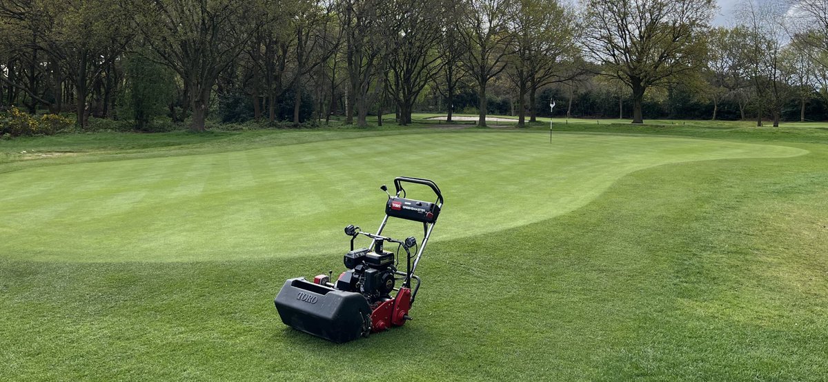 sam wardill tweet media