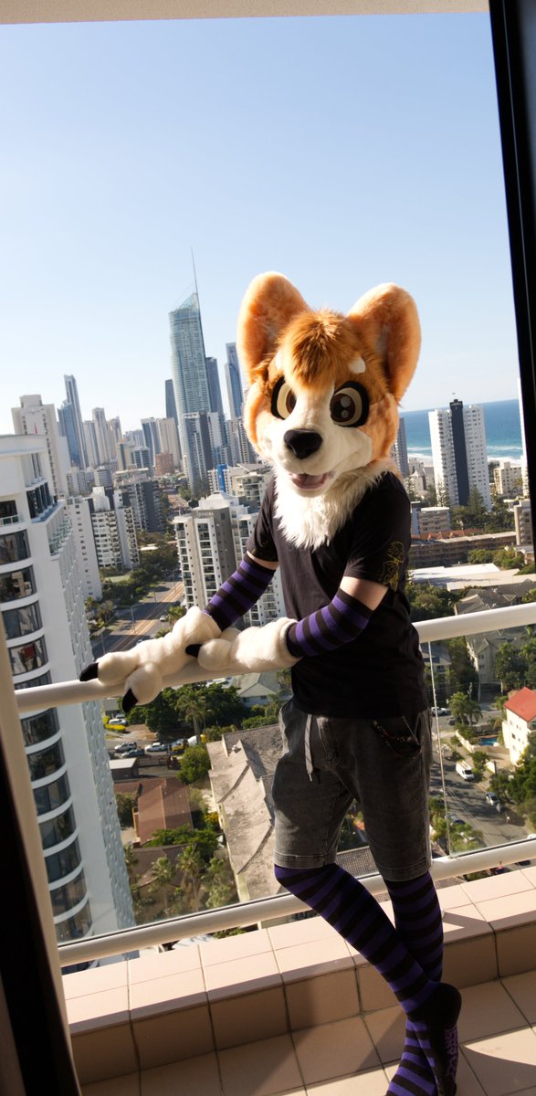 <a href="/DoritoDustDog/">Dust</a> Basking in the sun :3