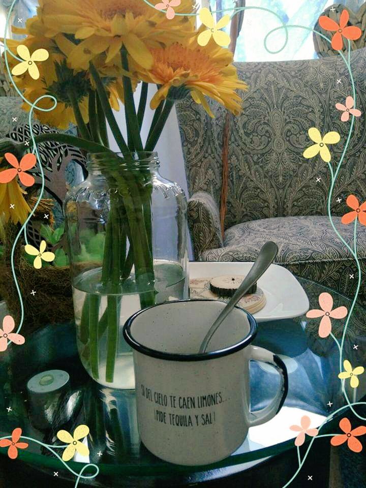 SoyLauraRivas's tweet photo. Bonjour!!! Elige bien tus batallas, recuerda hacer una sola cosa a la vez. La pelea más grande es contigo frente al espejo. #ModoLau #Tribu toca Rosa y Orar https://t.co/FzAVGYtfGJ