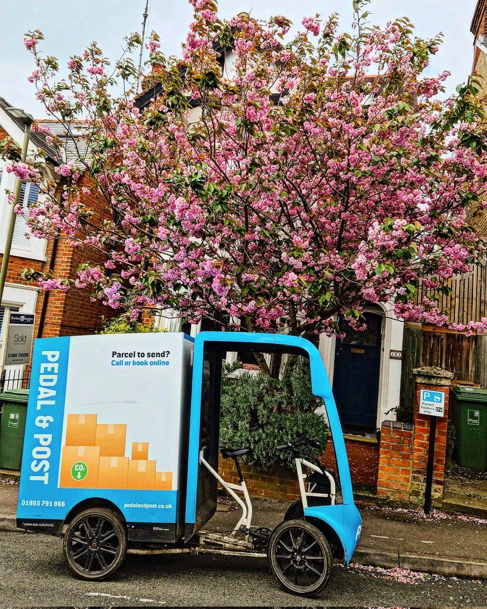 🚴‍♂️ Happy #Fridayvibes from our delivery route round east #Oxford with spring time starting to kick in 📦 Teams delivering 1000's of items today all over the city by #cargobike 🌳 Each parcel is estimated to save 204g of co2 by using bikes vs vans (fossil fuel ones)