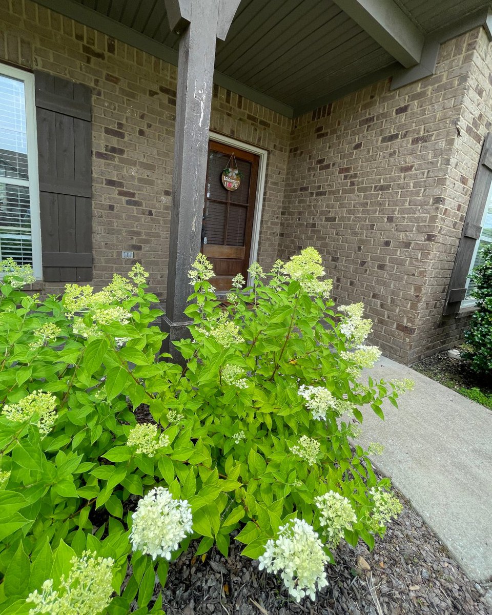 What kind of flowers would you love to see in your front yards?

#landscaping #lawncare #landscapedesign