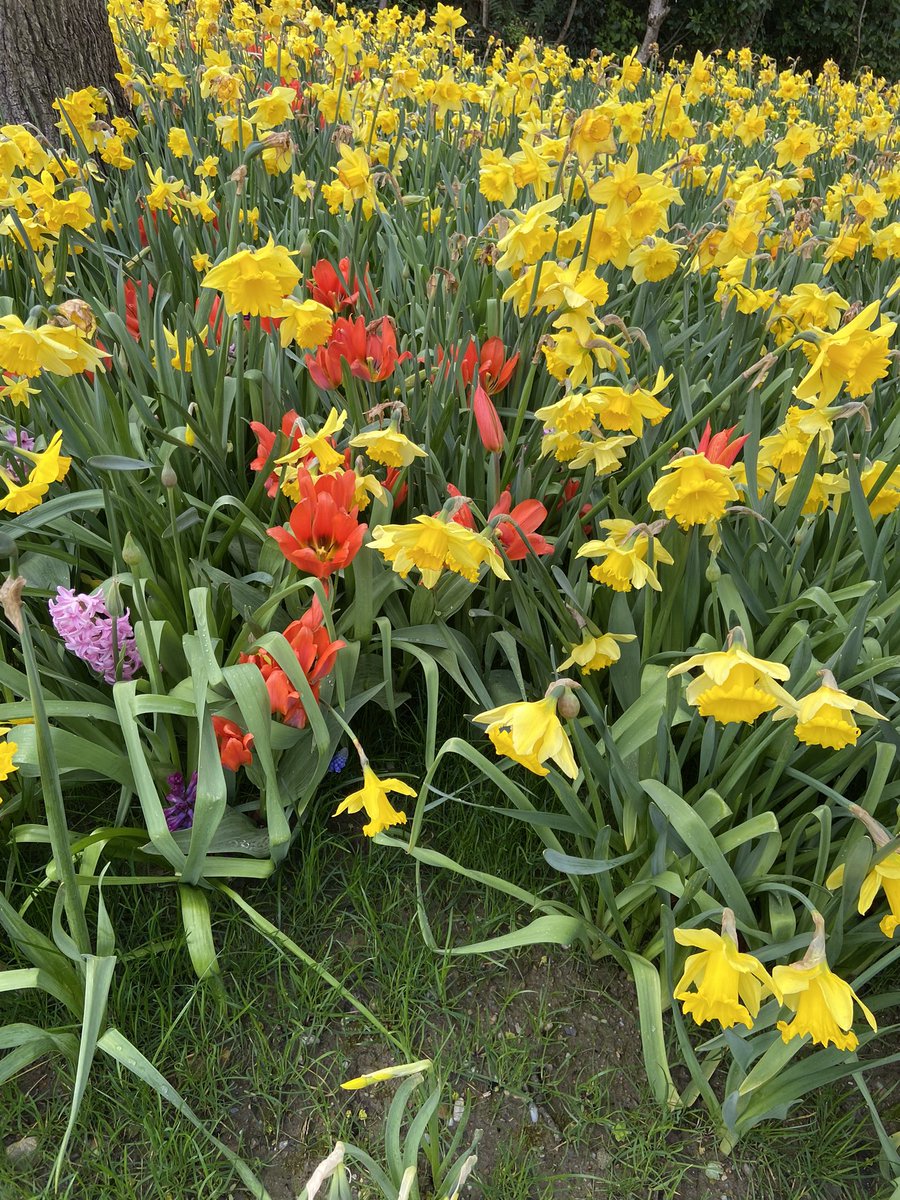 KLJ40's tweet photo. Beautiful colours at GBE HQ Magee Campus today 🥰@UlsterBizSchool https://t.co/xwrRoFahOh