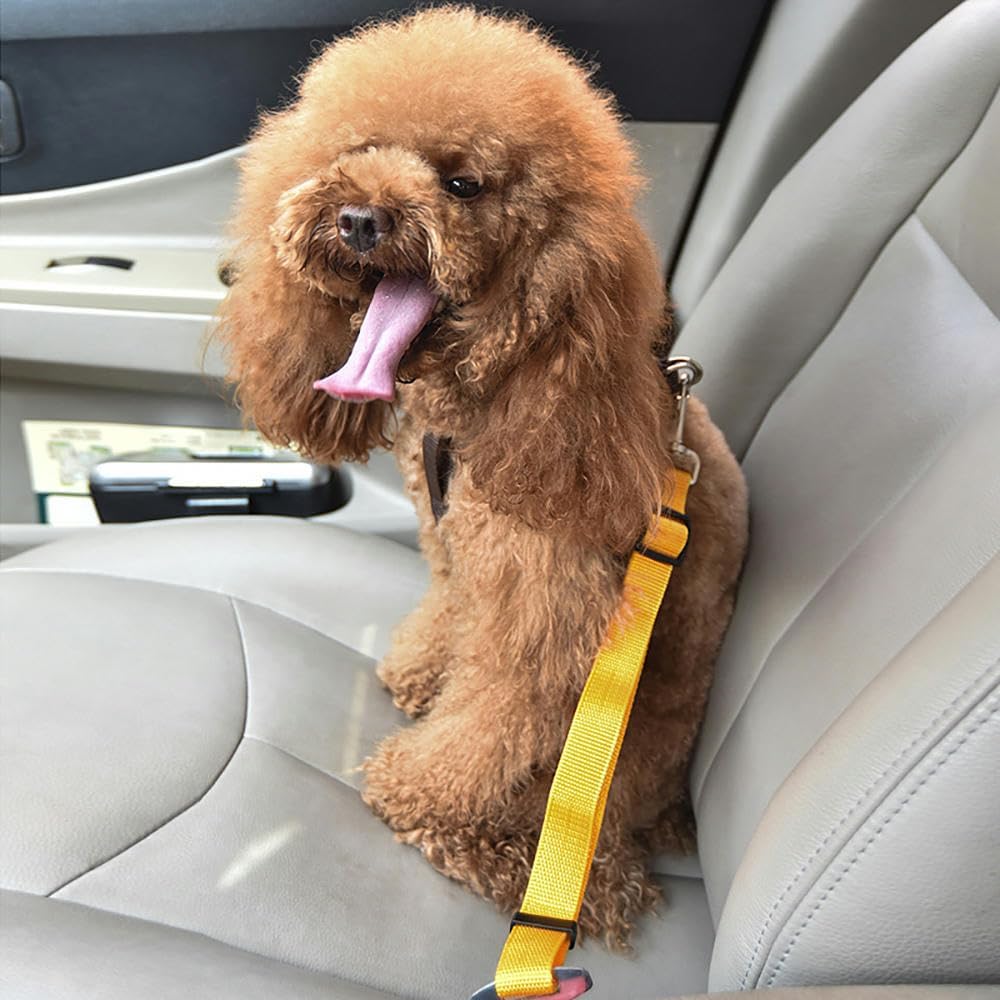 FurryFields4U's tweet image. Secure Your Pup, Spring into Fun! 🚗 - Spring excursions call for top-notch safety. Our DOG CAR SAFETY BELT keeps your furry friend securely by your side.

 #PupProtection #FurryFieldsSafety #DogCarSafetyBelt #FurryFields #DogCarSeatBelt
