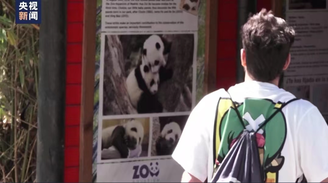 CgtnJapanese's tweet image. 【スペインのマドリード動物園 中国からジャイアントパンダがまもなく到着】
