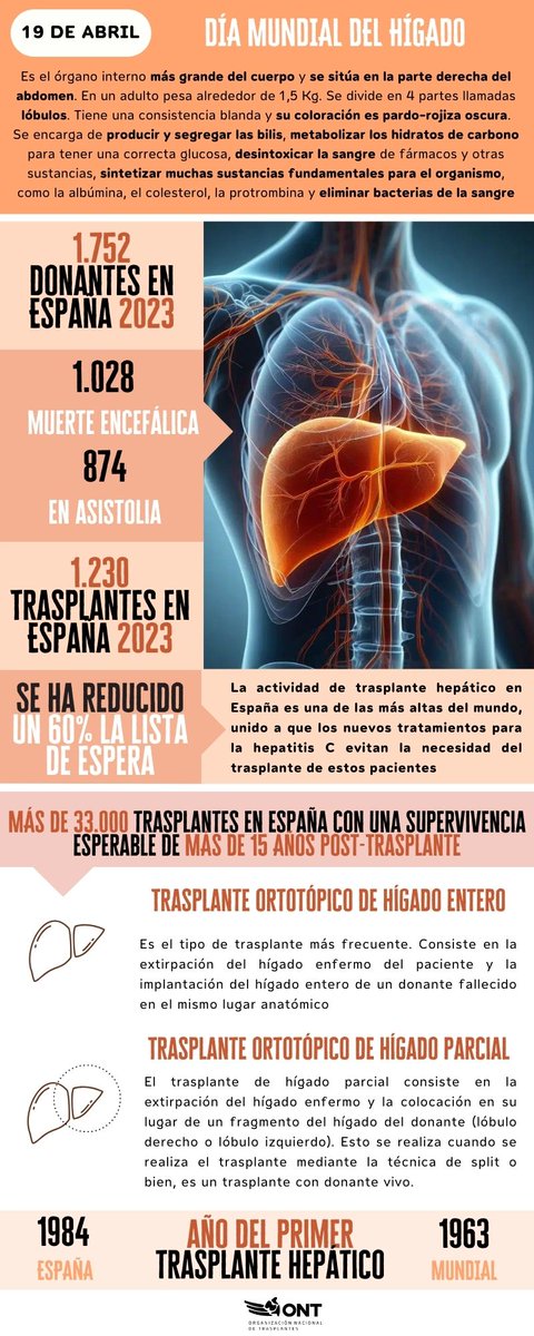 ‼️ ¿Cuáles son las funciones del hígado? ¿Cuántos trasplantes hepáticos se realizaron en 2023 en España? ¿Y donaciones? ¿Cuándo fue el primer injerto? 📑 Consulta esta infografía en el #DíaMundialdelHigado, que se celebra este año por primera vez #OrgulloONT💙 #WorldLiverDay