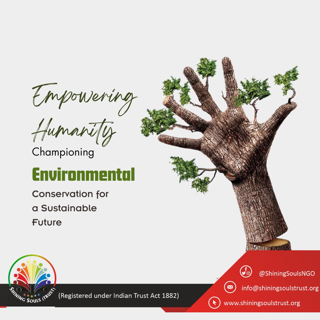 Empowering Humanity: Championing Conservation for a Sustainable Future 🌍
 #SustainableSolutions #ConservationChampions