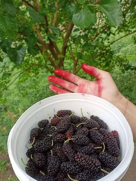 ⚓Queen of Pentacles⚓ tweet media