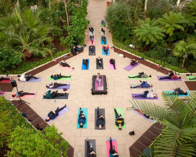 From a yoga class in the world's largest Victorian glasshouse to soundbaths in nature 🧘🍃 Experience unique wellbeing sessions at Kew: ow.ly/yZsg50NjaWF