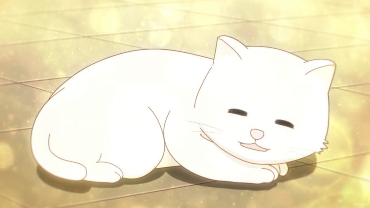 hanpenthecat's tweet photo. Today was a good day… Nya… https://t.co/vqK2vuhE9F