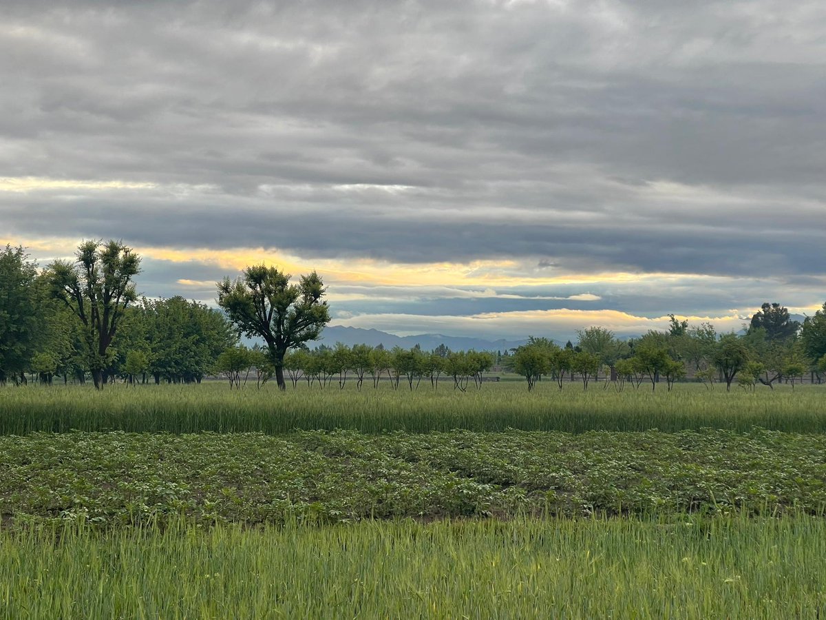 Shiekh Ameer, Khost province.