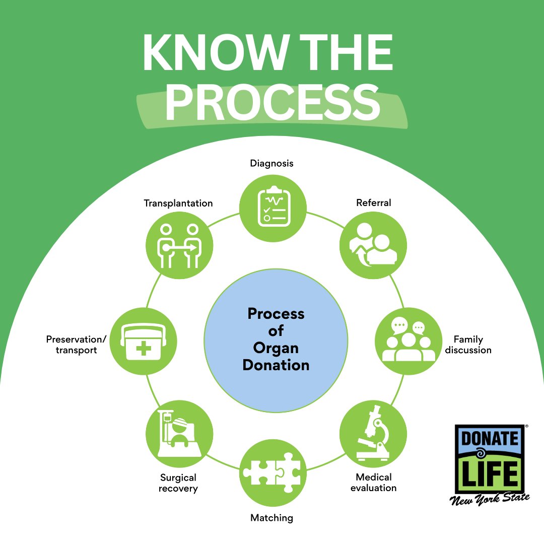 From recovery to renewal, organs find their new purpose. It's more than a process, it's a gift of renewed life. #DonateLifeMonth #DonorsAreSuperStars #DonateLifeNYS #DonateLife #DoneVida