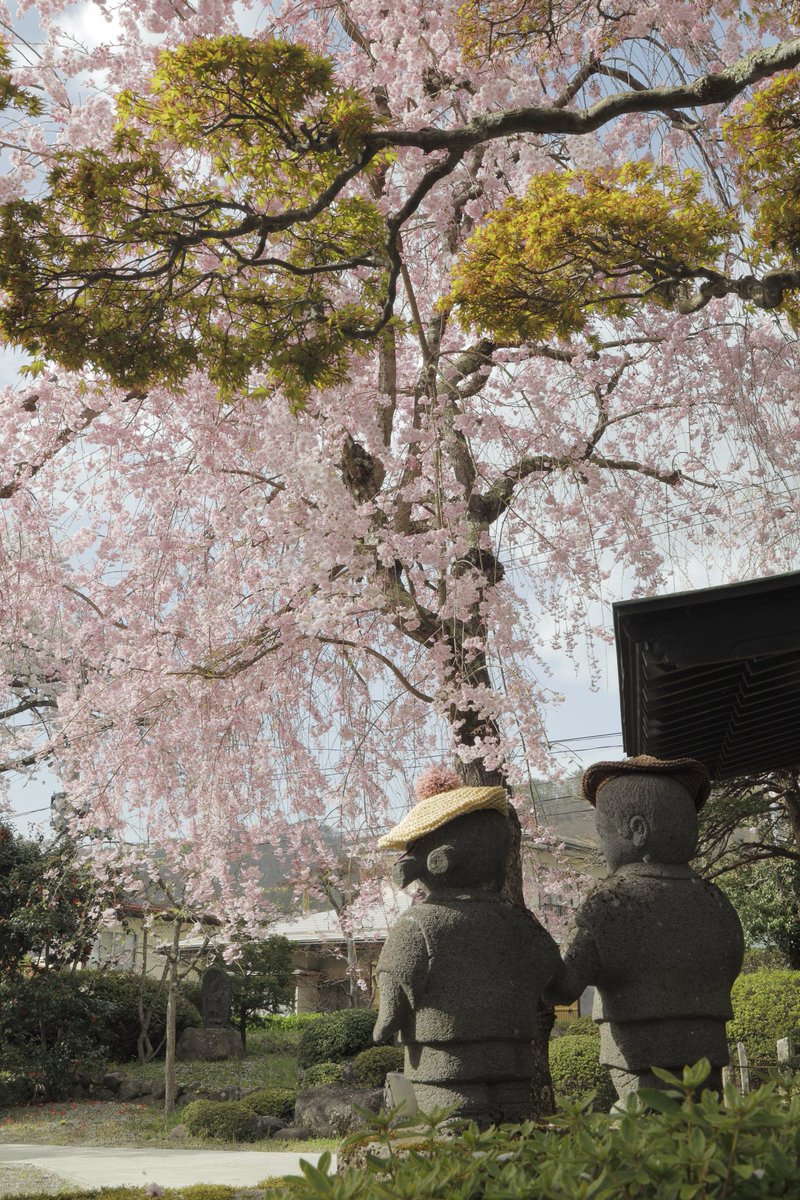 今日は早めの仮眠😪
アップするの忘れてた🥲︎
子供のお地蔵さん
 #CANONphotographer 
⬇️前から             ⬇️後ろから