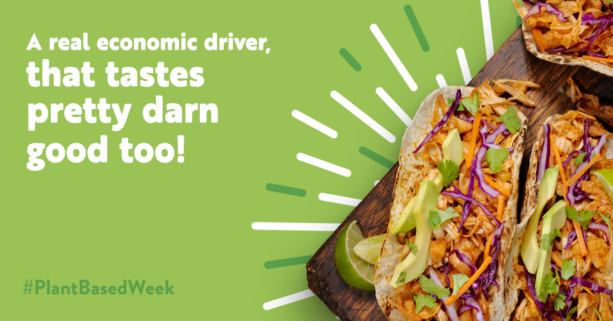 It’s never been easier for Canadians to fill their plate with plant-based power. Join us during #PlantBasedWeek and discover the difference plant-based options can make! Learn more: plantbasedfoodweek.ca @proteinindcan