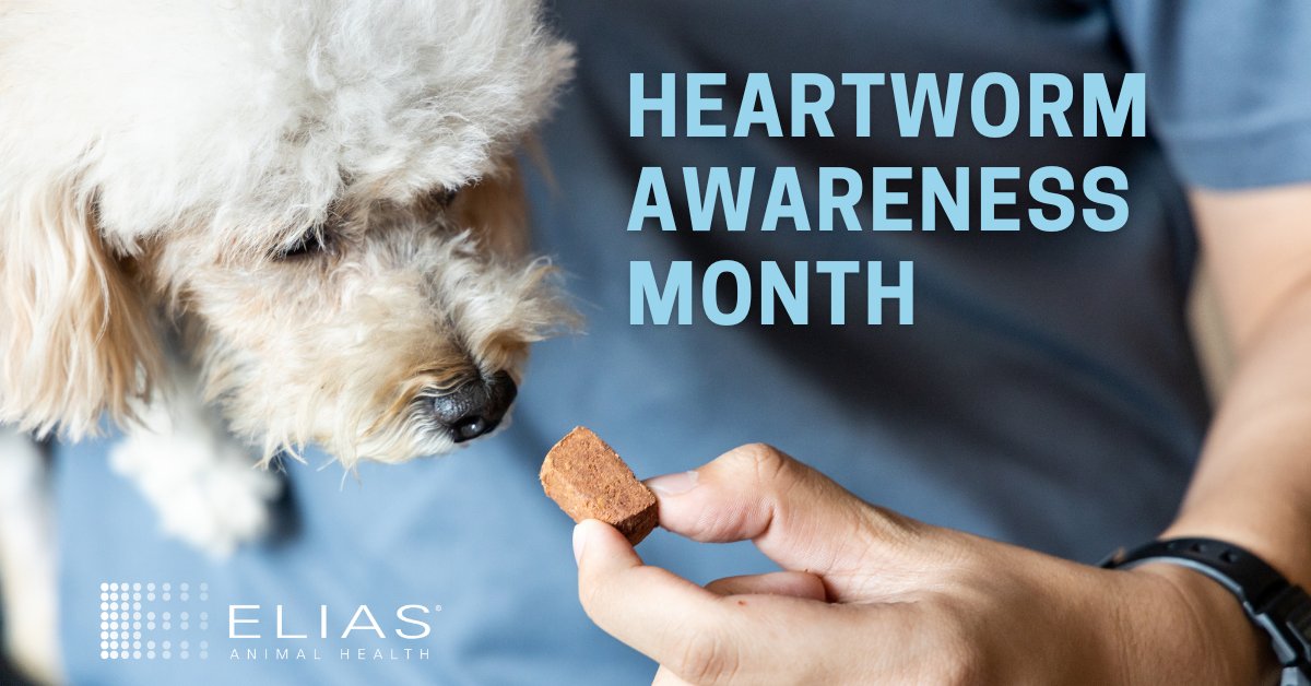 April is #HeartwormAwarenessMonth! Did you know heartworms are transmitted by mosquitoes and can be fatal for dogs if left untreated? Prevention is key. Talk to your vet about heartworm prevention today and keep your furry friend safe! #ELIAS #PetHealth #ProtectYourPet