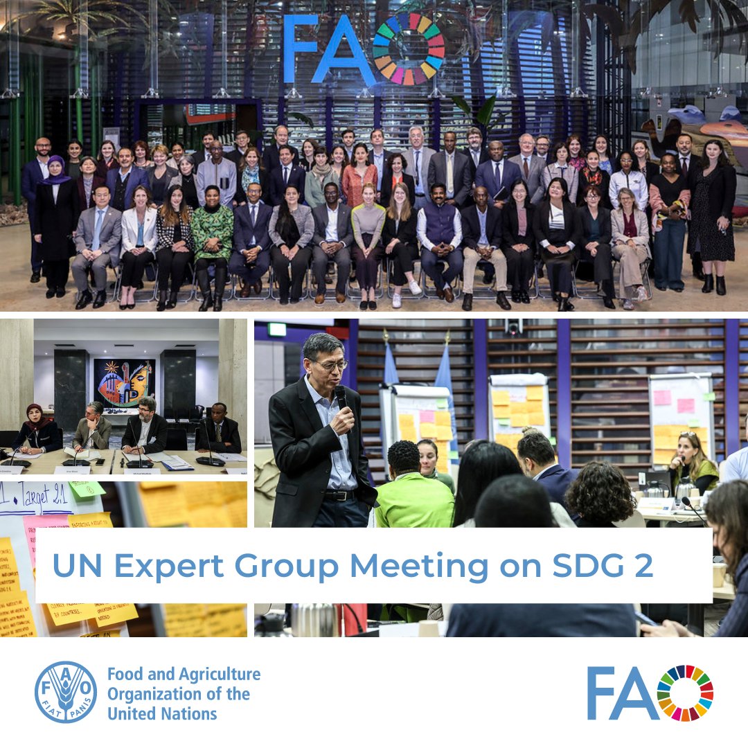 🌍A recent UN Expert Group Meeting convened over 40 experts to assess global progress towards #SDG2 and strategize accelerate actions to meet its objectives, in preparation for the 2024 High-Level Political Forum. Read more here▶️bit.ly/3JveeVC #GlobalGoals