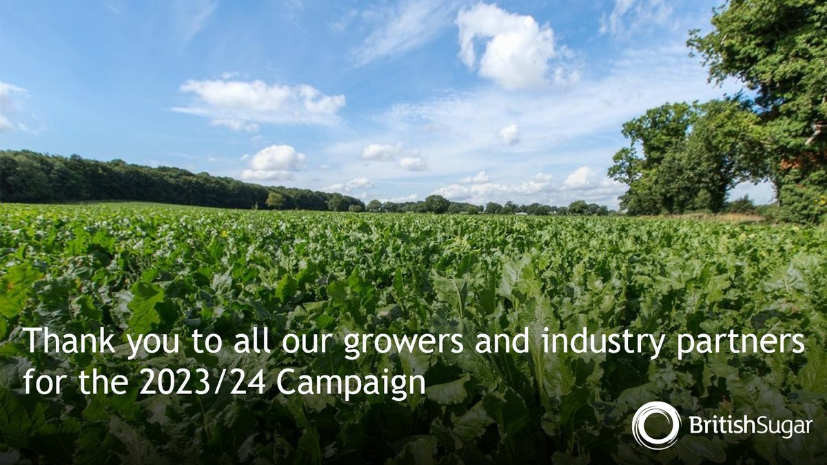 It's official, the 2023/24 #sugarbeet campaign comes to a close👏A huge thank you again to all our growers, harvesters, hauliers & colleagues across the #homegrown sugar industry. Wishing everyone all the best for this year as we look ahead to 2024/25! @NFUSugar @BBRO_Beet