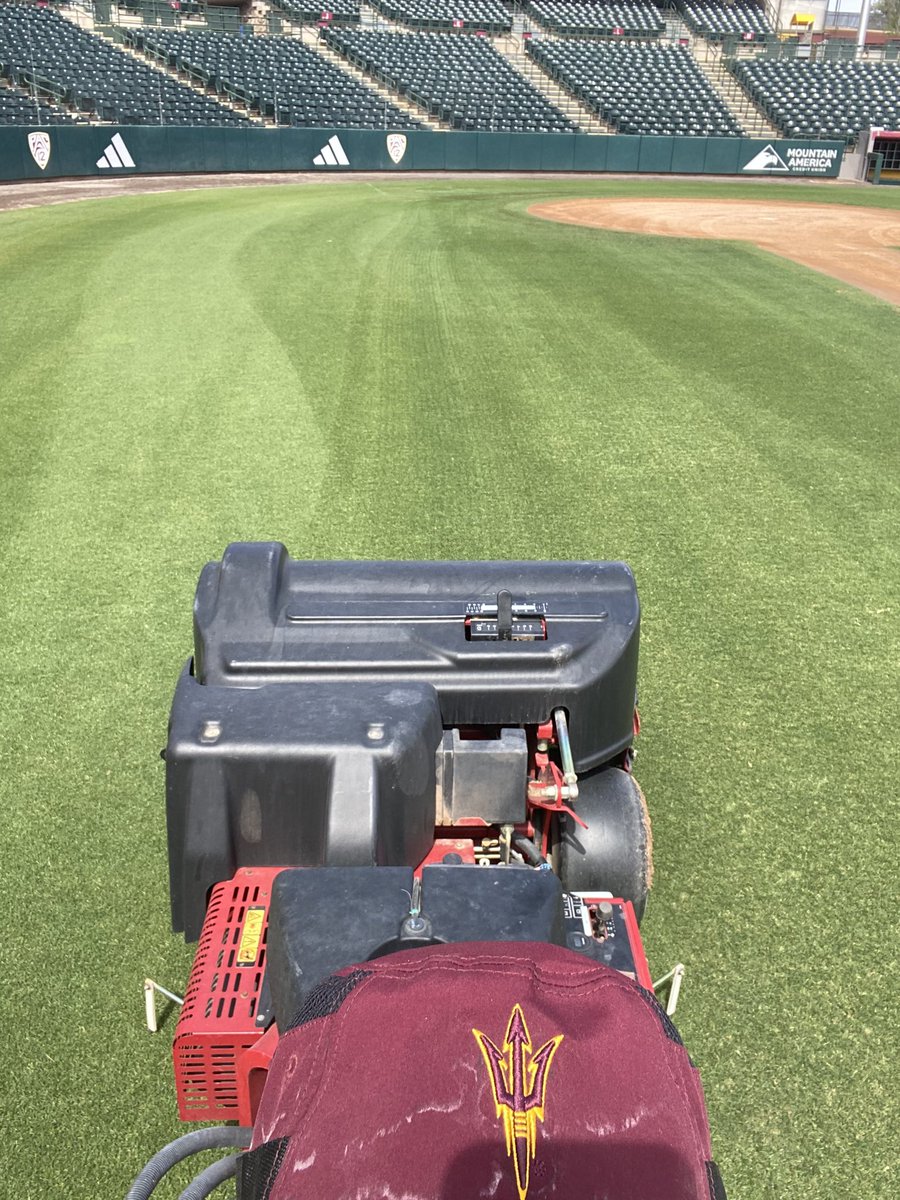 ASU_GCB's tweet image. Letting her breathe. Much needed break. #takingabreath #turfnerd