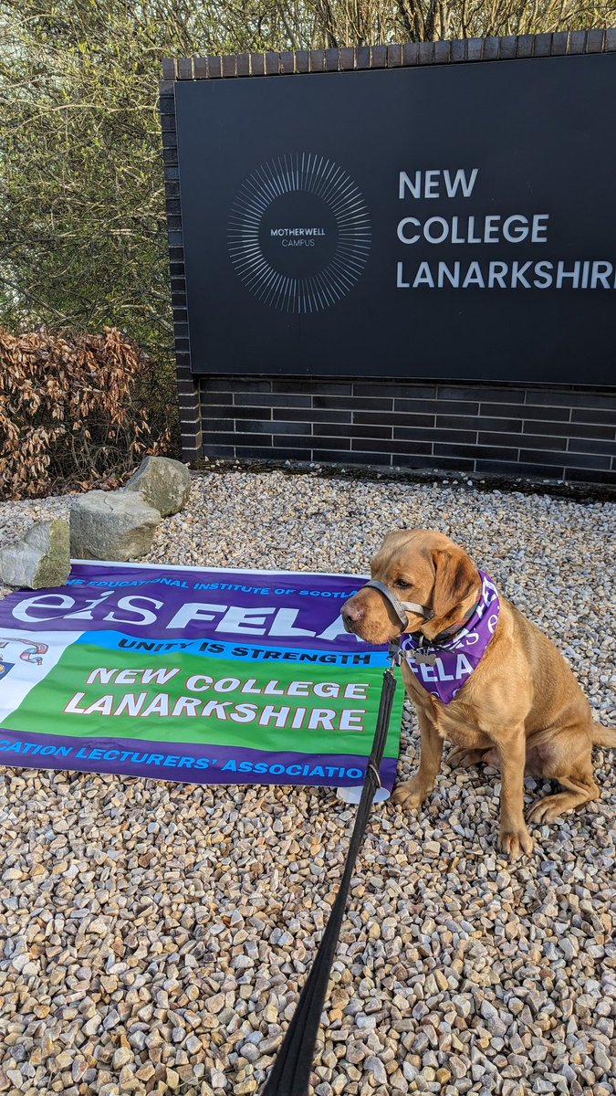 Bodhi's 1st picket line, an adamant supporter of FE he wants to protect jobs and ensure FE stays available to all. FE colleges give the poorest in our communities the chance to gain skills and lift themselves and their families out of poverty. #eisfela #FurtherEducation