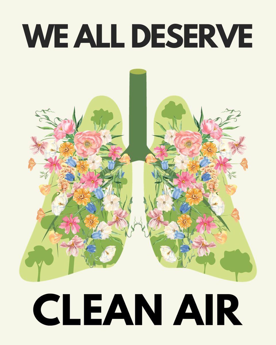 The next Mayor of London should act with ambition to clear the air we breathe of toxic pollution and realise the benefits of clean air for our health, the NHS, and the economy 🙏 💚. Help us share our three key pledges we want candidates to sign up to... 🧵1/7👇