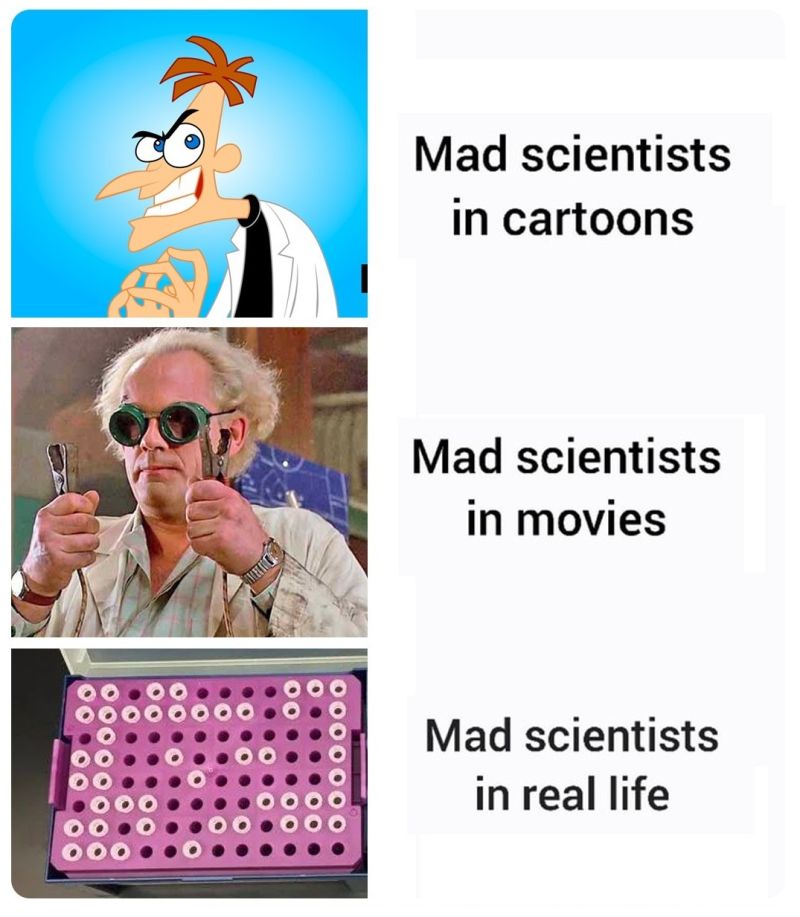 rapidnovor's tweet photo. Happy Friday! Which type of mad scientist are you? 🧐🧪 #SciHumour https://t.co/CVnvGrZwb0