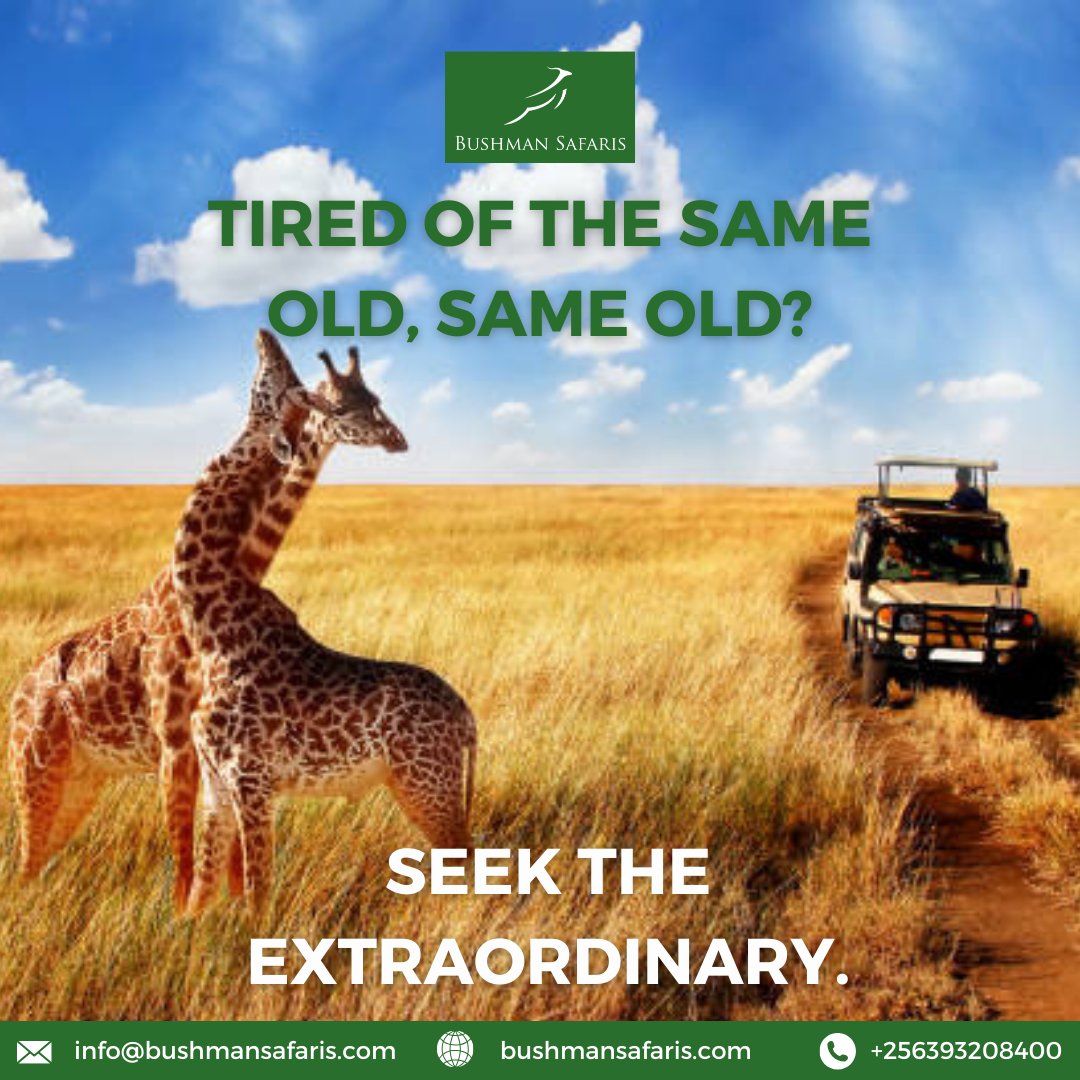 BushmanSafaris's tweet image. Bushman: Your gateway to epic adventures.

#BreakTheRoutine #LiveExtraordinary #Bushman #OutdoorStories #FindYourPeace #NatureTherapy #OutdoorAdventures