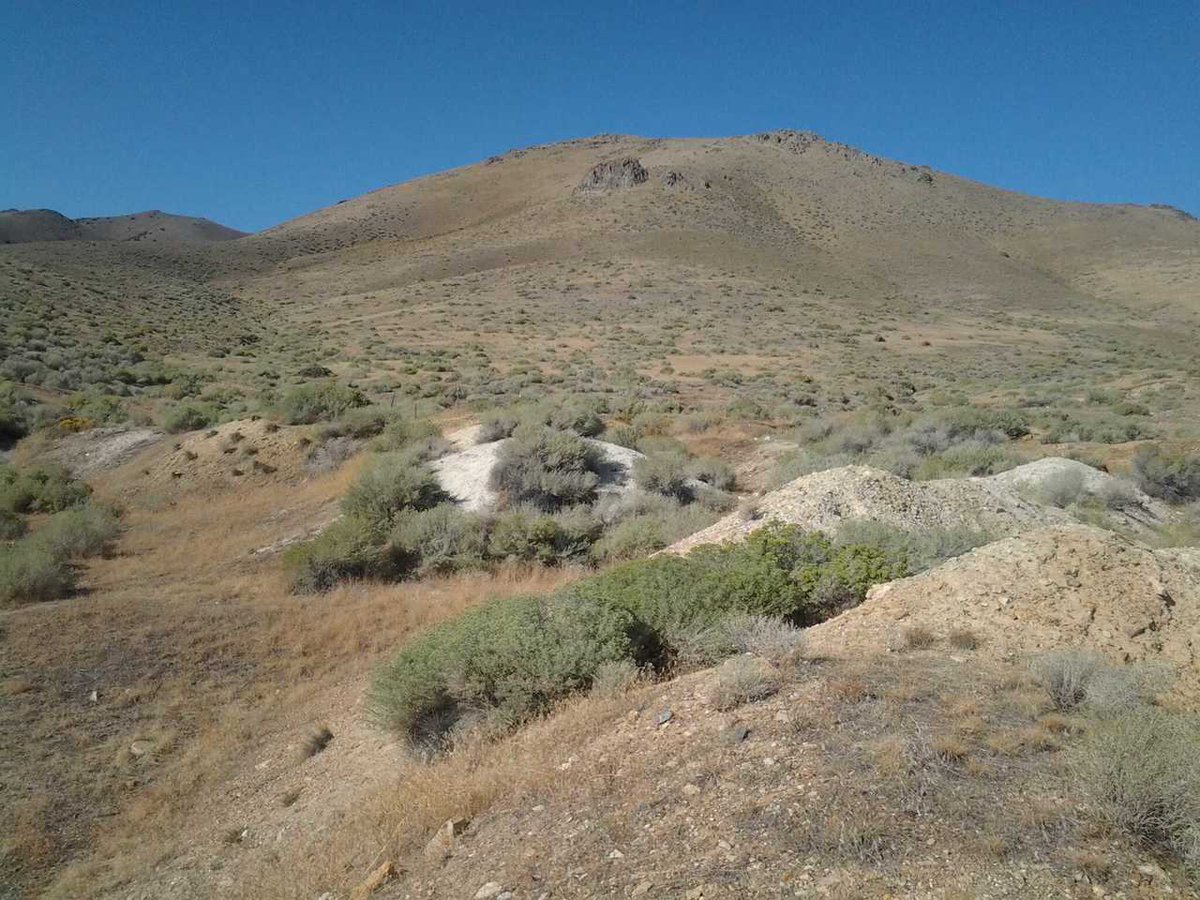 Extensive assays and property/lode examination by Jerritt Canyon Gold Mining Company. Estimated 956 oz of gold plus silver and other valuable minerals/ore. Need reduction to black sand or lower for percentage and hauled off the parcel for processing. Make any reasonable offer.