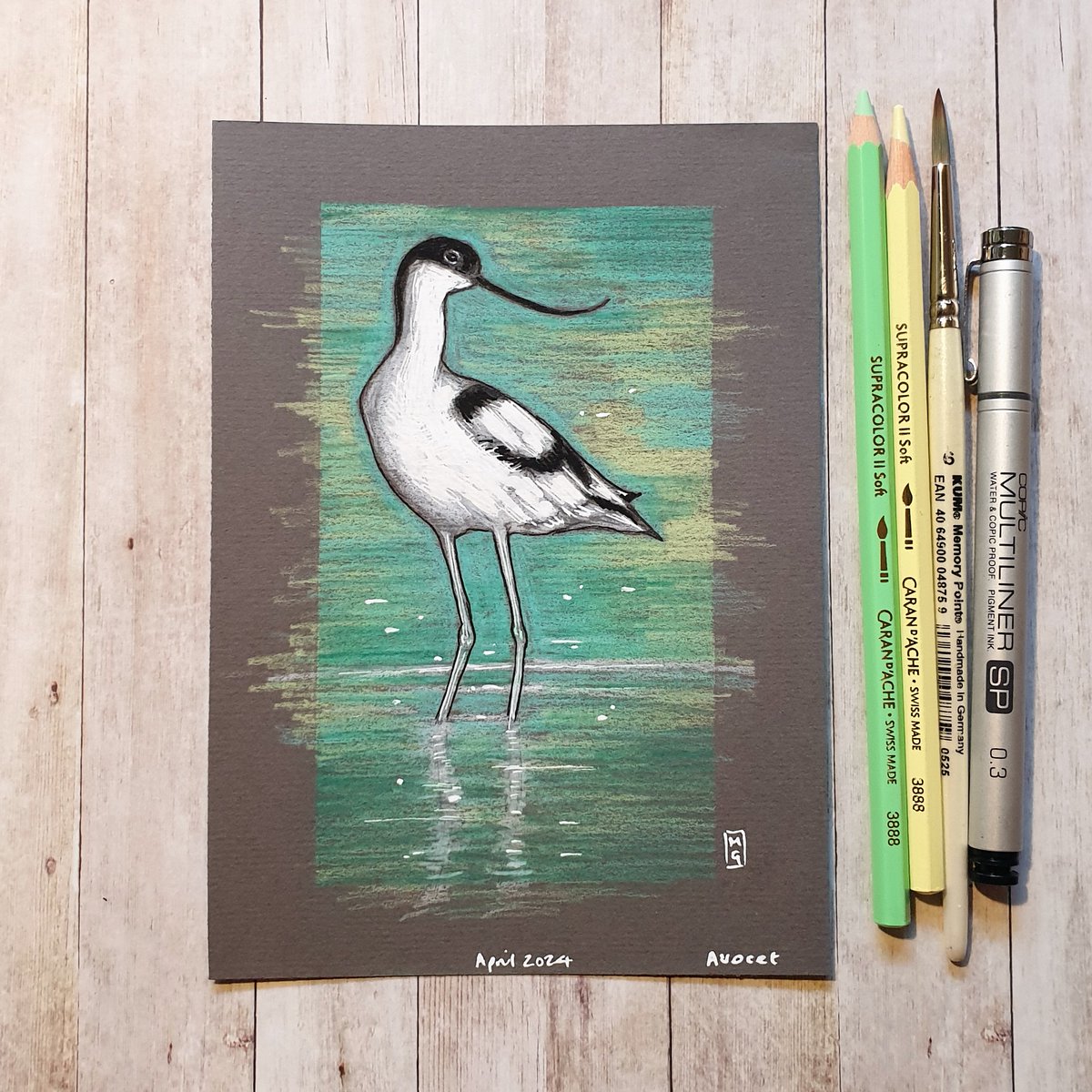 The pied avocet is a black and white bird with a very long, upturned beak. It lives and breeds in the coastal areas of Europe and Central Asia. My drawing of this bird can be found here... theweeowlart.etsy.com/listing/169374… #Avocet #Birds #BirdArt #OriginalArt #drawing #art #TraditionalArt