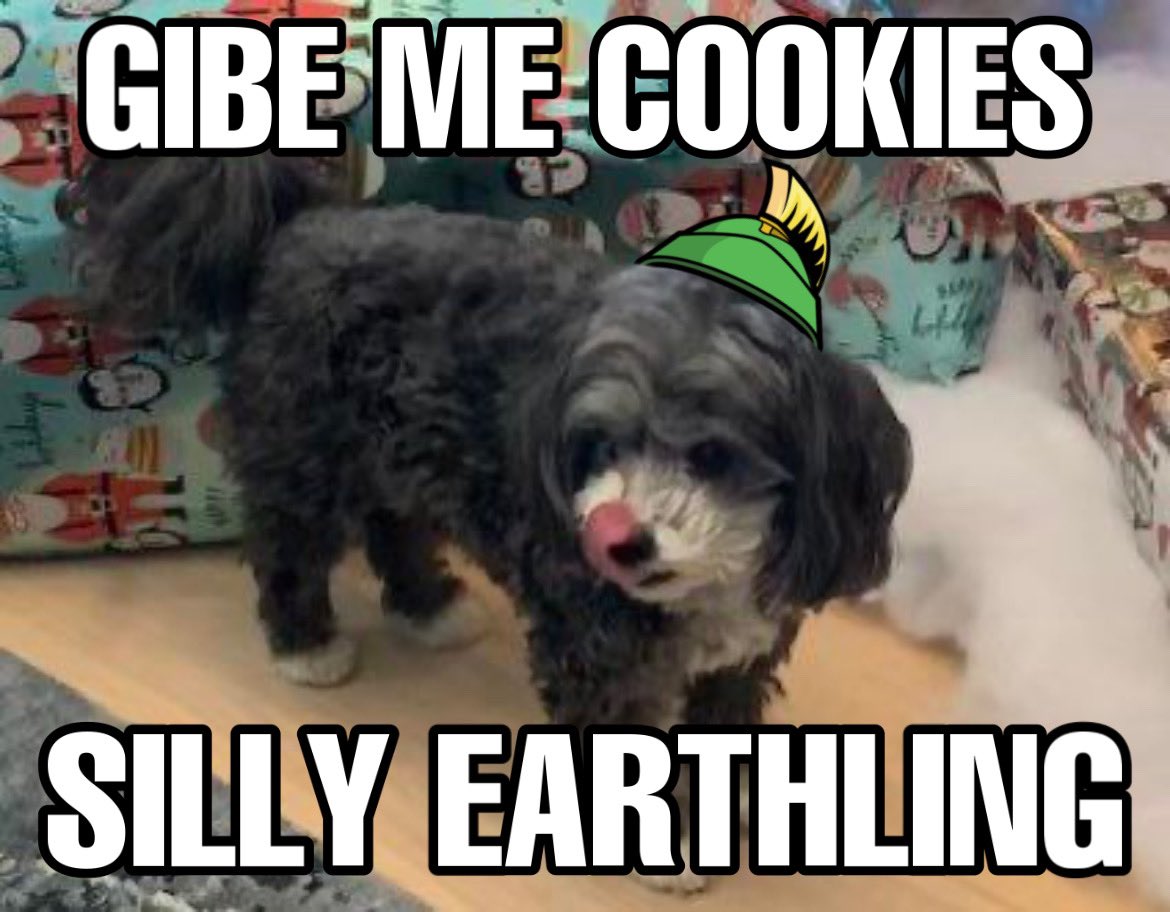 Gibe me now! 🍪 🐶 $MARVIN