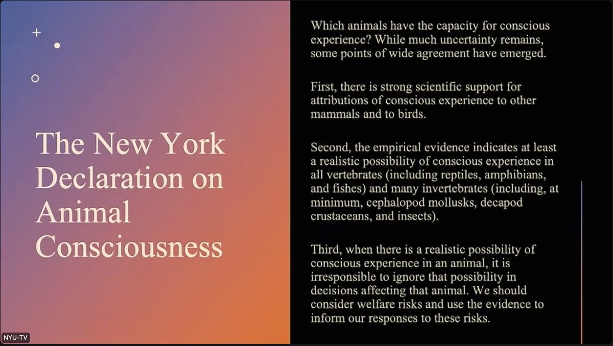Very excited to be tuning in to the NYU Workshop on 'The Emerging Science of Animal Consciousness' to see the launch of the New York Declaration on Animal Consciousness