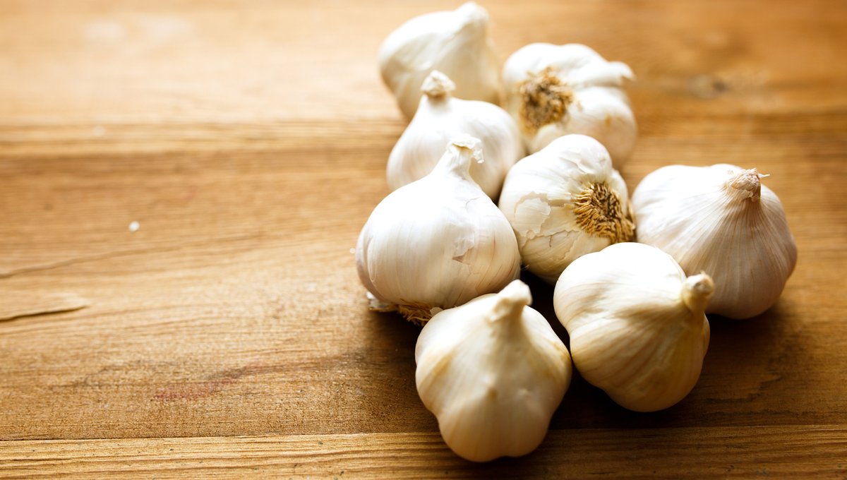 Happy #nationalgarlicday! This wonderful flower brings a unique and delicious flavor and aroma to any dish it touches, something cooks worldwide have learned to harness. Our ancestors agreed because #garlic has been grown by humans for at least 4,000 years. #garlicmonth