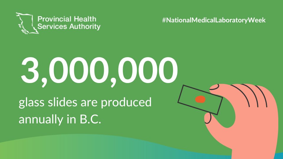 Did you know? The B.C. health system produces over 3 million glass slides annually! These are vital for pathologists in diagnosing patient conditions. With digital pathology, slides are now digitized, enabling remote viewing and collaboration among specialists. #HappyMedLabWeek