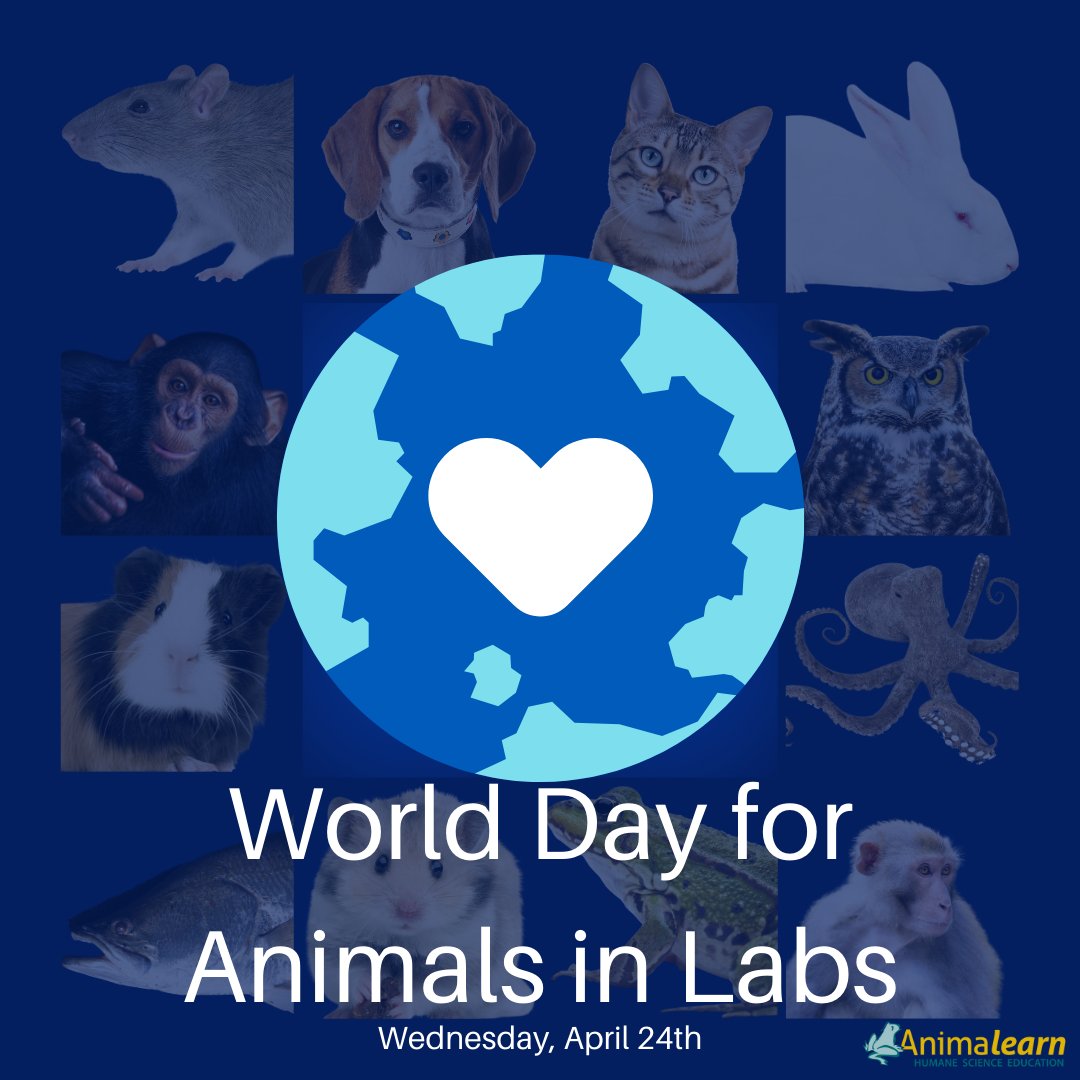 Join us on #WorldDayForAnimalsInLabs in honoring all animals who are used for experimentation & dissection in #science #education. Embrace #HumaneScience! #humaneeducation #teachers #scienceeducation #lifesciences #anatomy #biology #scienceteachers #sciencetwitter #teachertwitter