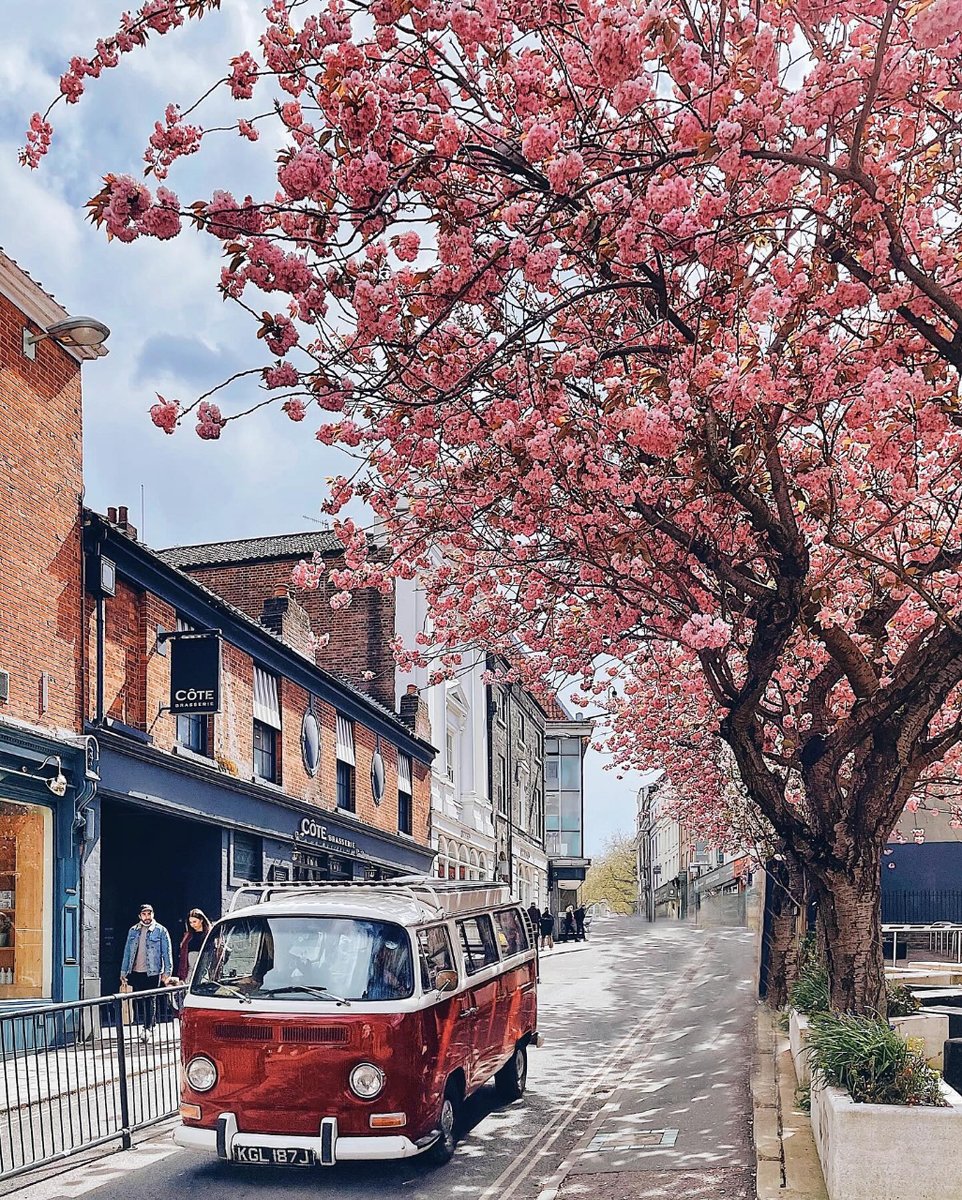 City of Blossoms 🌸🚗 Exchange Street in Bloom beautifully captured by Juliéy Pham on Instagram #VisitNorwich #Norwich #BeautifulDestinations #Spring