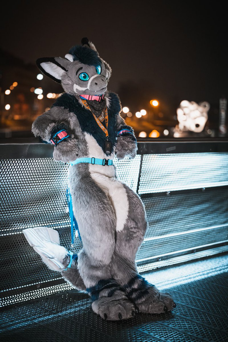 You have to pay the fee if you wanna cross this bridge, buddy. Picture by @Nighti331 #FursuitFriday