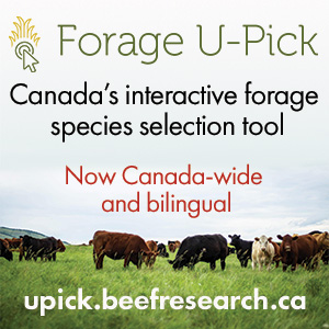 Wondering what forages to choose that suit your farm's particular goals and soils?

Head to Forage U-Pick, Canada’s interactive forage species selection tool to find farm-specific forage recommendations, a seeding rate calculator &amp; weed management info.

Upick.BeefResearch.ca