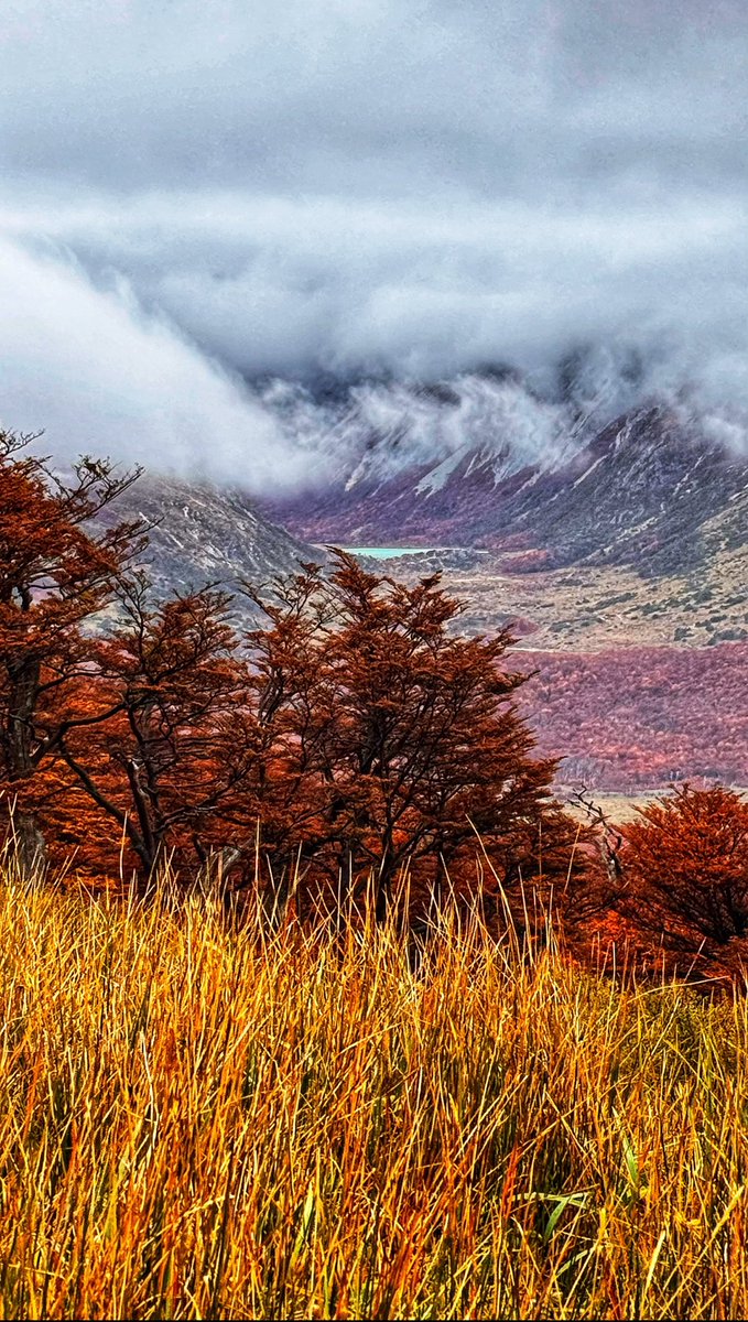 Ushuaia, Tierra del Fuego. 💚