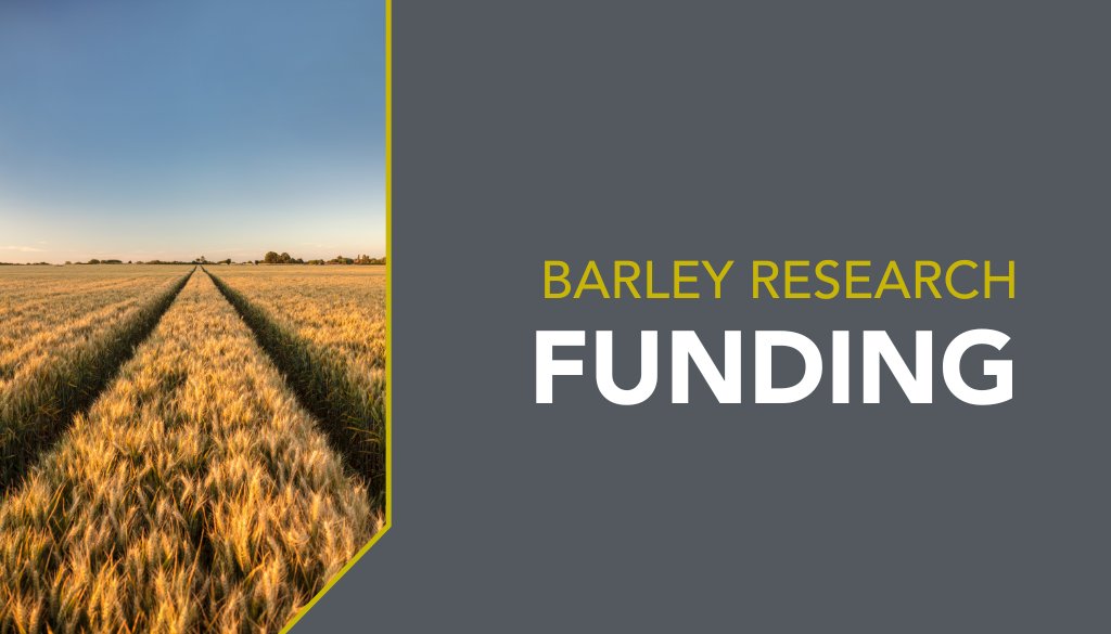 #ICYMI: @SaskBarley announced it has committed $856,651 to fund barley research over the next five years. 📰 Full Press Release: rb.gy/512h1e