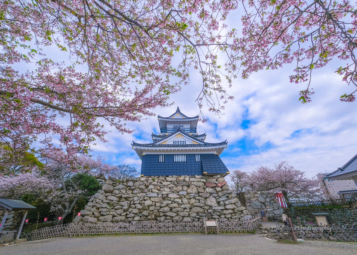 浜松城と桜
横構図は桜の広がりが美しいです。
人の流れが途絶える瞬間を待ちました。❛ ֊ ❛
#静岡県 #浜松市 #浜松城 #桜 #photo_shorttrip #tokyocameraclub #raytrek_photographer #photo_travelers #今日もX日和 #XT3 #XF1024 #morning #cherryblossom #城 #花 #flower #beautiful #春 #spring